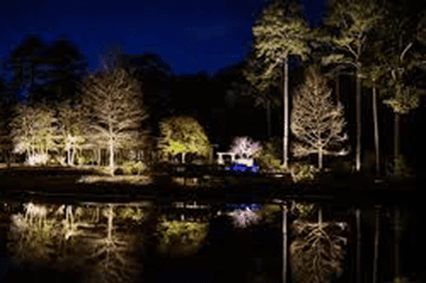 Landscape lighting from the range at Green Heat